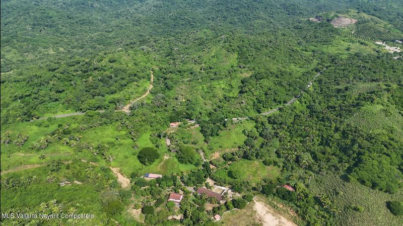 20260116235016767087000000 o