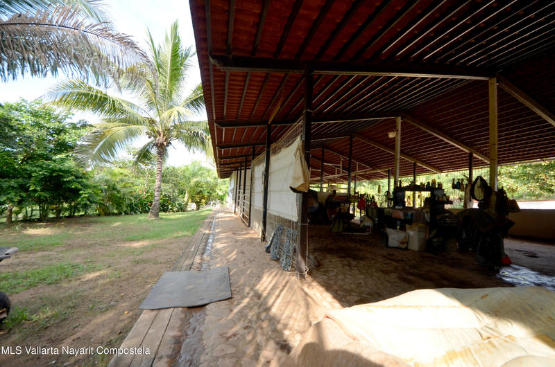 20260116235245915454000000 o