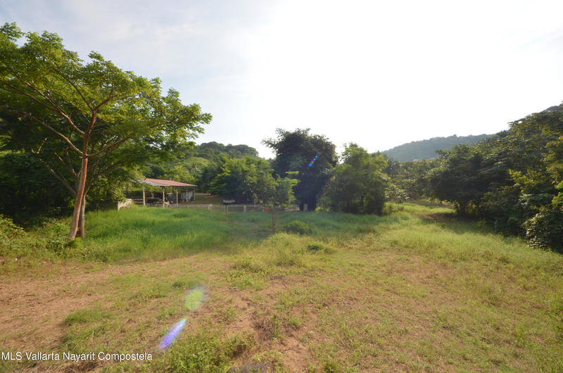 20260116235502814684000000 o