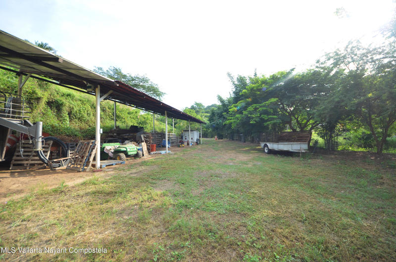 20260116235520453565000000 o