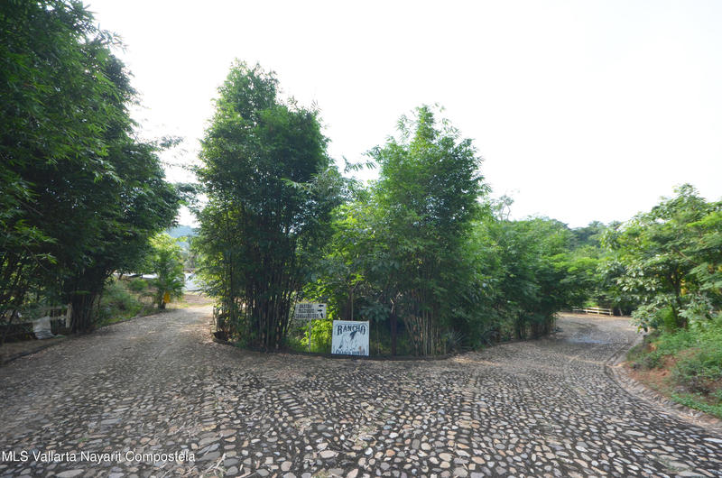 20260116235538036436000000 o