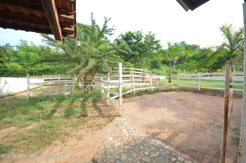 20260116235628306446000000 o