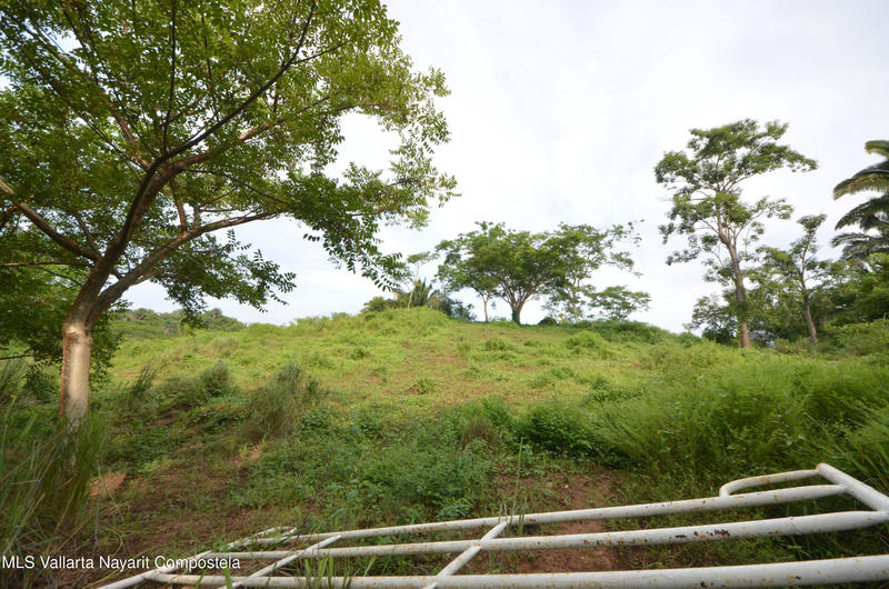 20260116235647108715000000 o