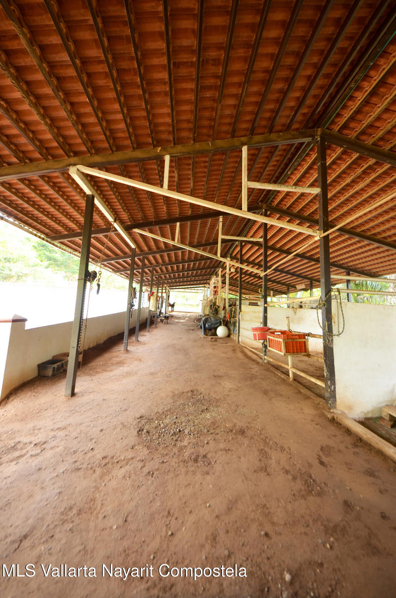 20260116235742545473000000 o