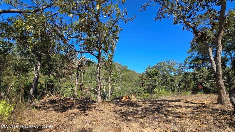 20250804202428083294000000 o