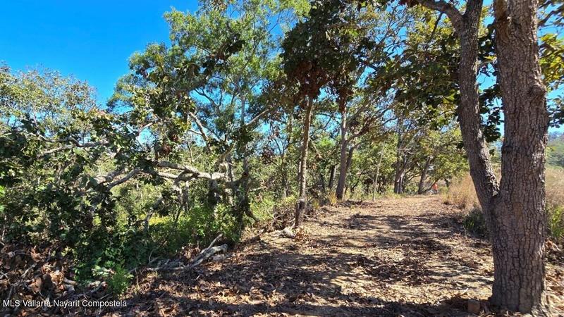 20250804200353802584000000 o