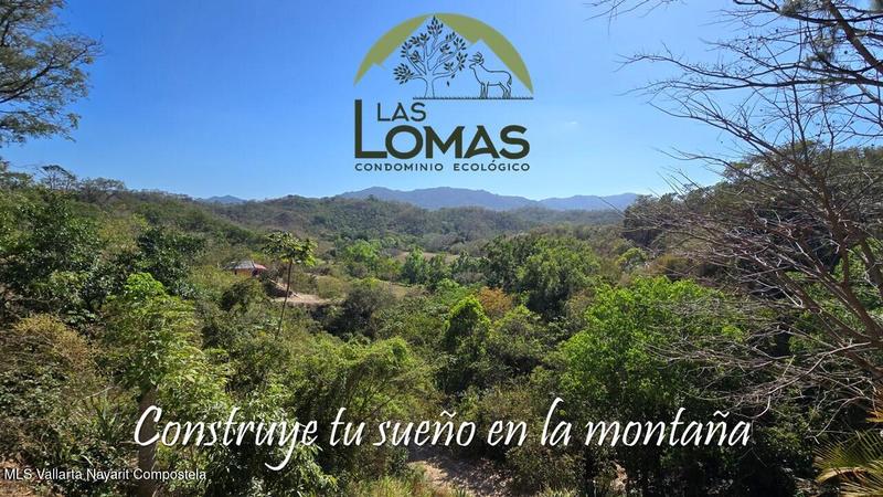 20250804200355643948000000 o