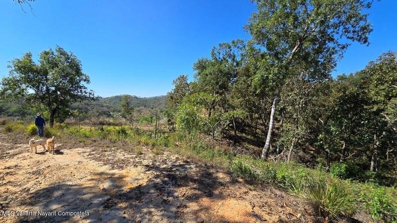 20250801184535996912000000 o