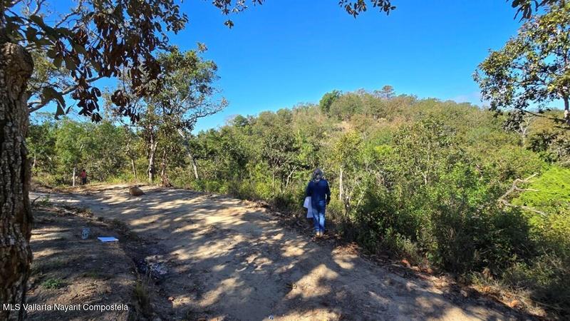 20250801190206460488000000 o