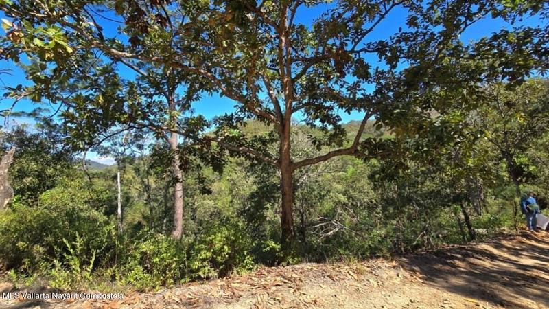 20250804201226500409000000 o