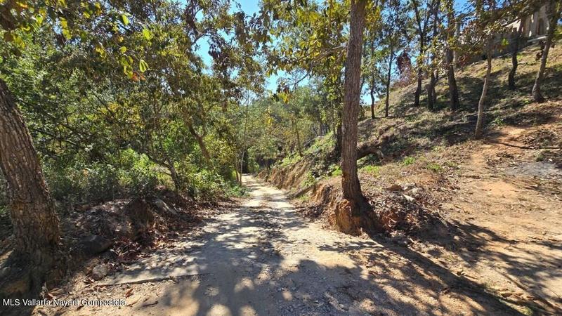 20250804205415540160000000 o