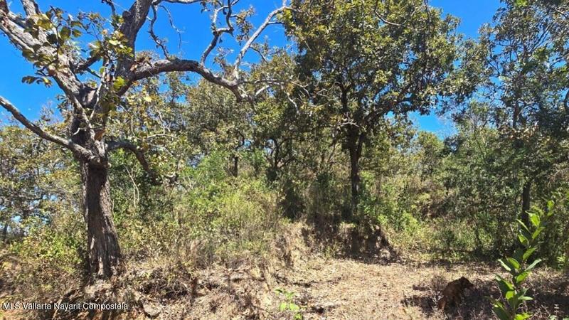 01 Carretera Tuito   Vallarta, Lote 17, Sierra Madre Jalisco, Ja