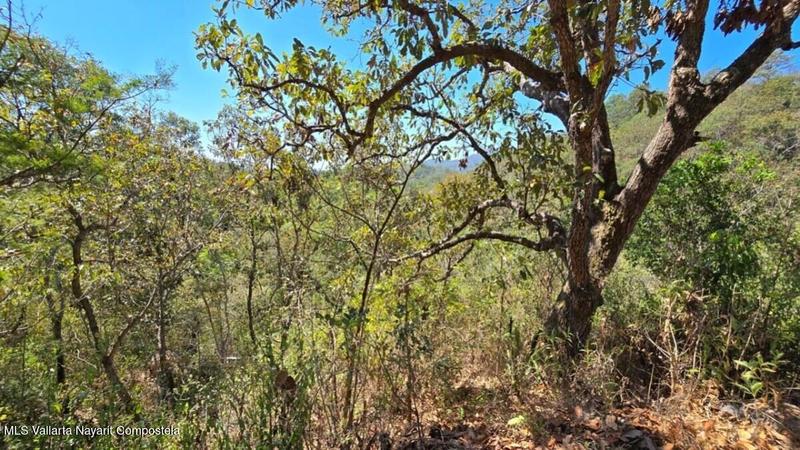 20250801193556362566000000 o