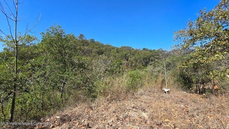 20250804201828838747000000 o