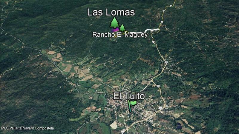 20250804201830012117000000 o