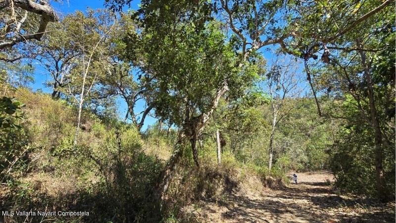 20250801194112351838000000 o