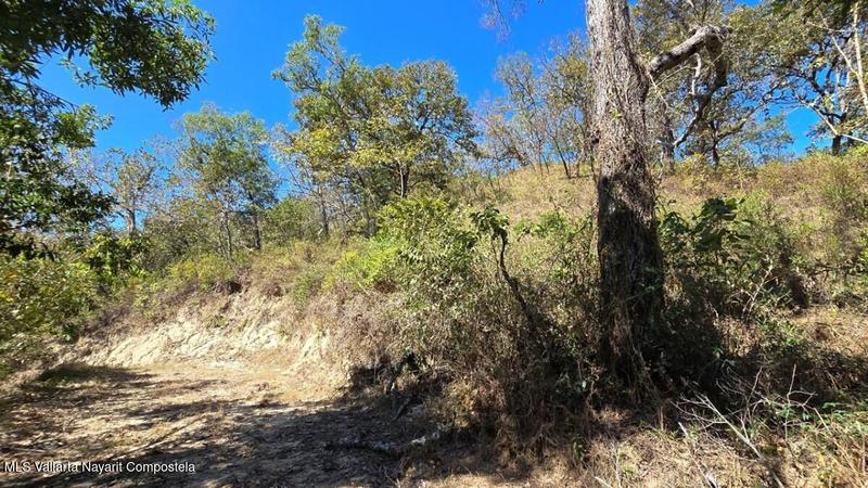 20250801194709177810000000 o