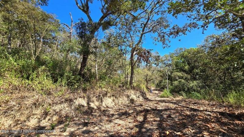 01 Carretera Tuito   Vallarta, Lote 21, Sierra Madre Jalisco, Ja