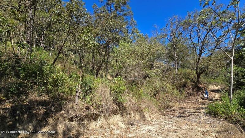 20250804211320867835000000 o