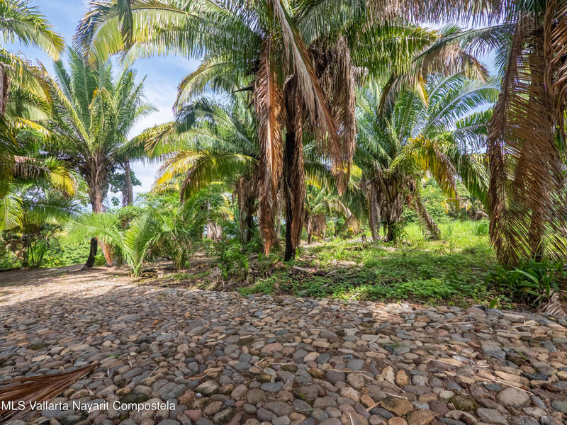 20251001212302340501000000 o