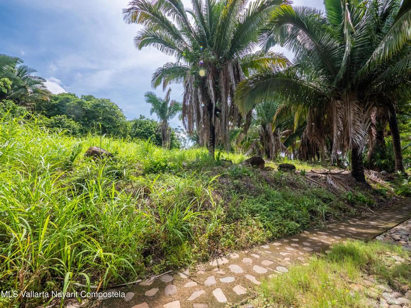 20251001212302632123000000 o