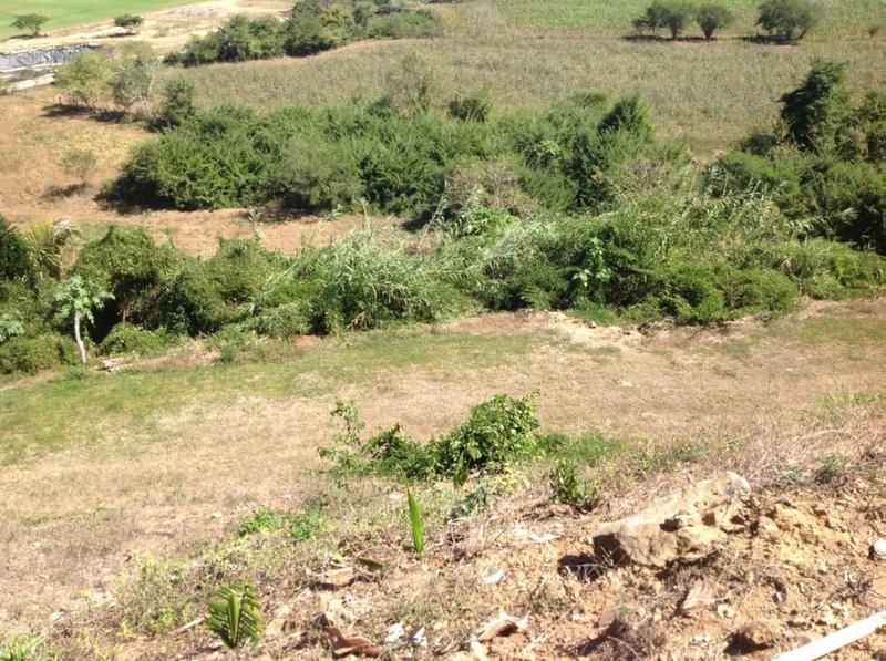 0 Nueva Galicia, Lote 5 Islas San Pancho, Riviera Nayarit, Na