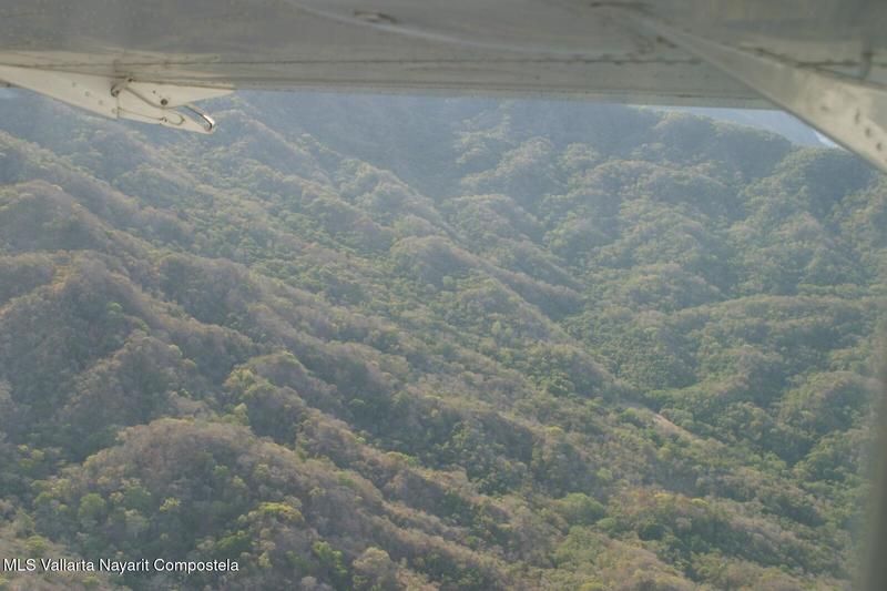 20251017001232195481000000 o