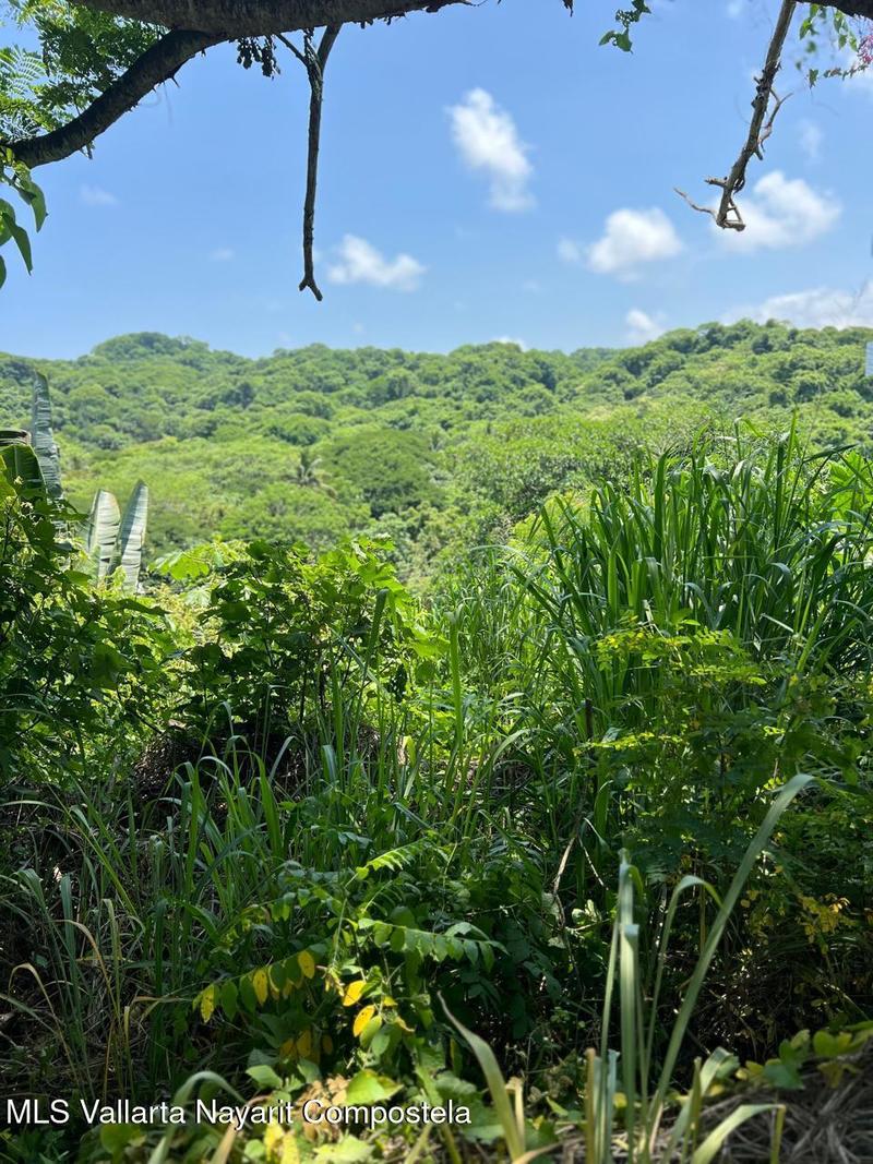 20250723192259651169000000 o