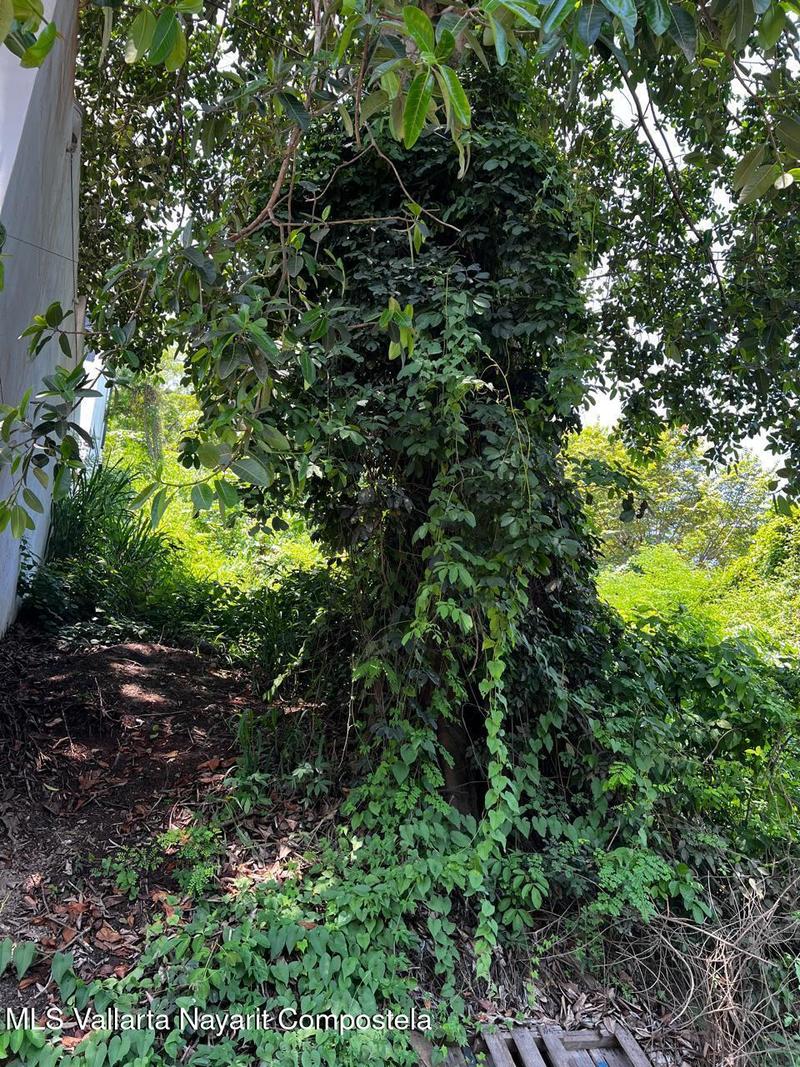 20250723192321928616000000 o