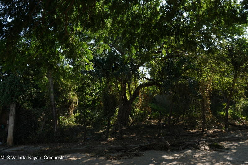 20260210163111067214000000 o