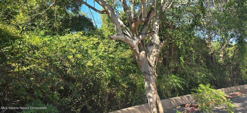 20251213173459938222000000 o