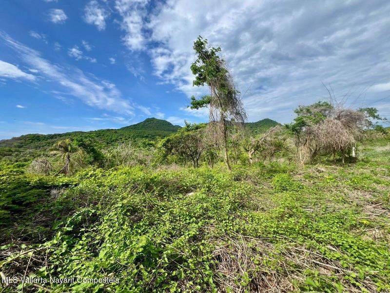 20250704185600526868000000 o