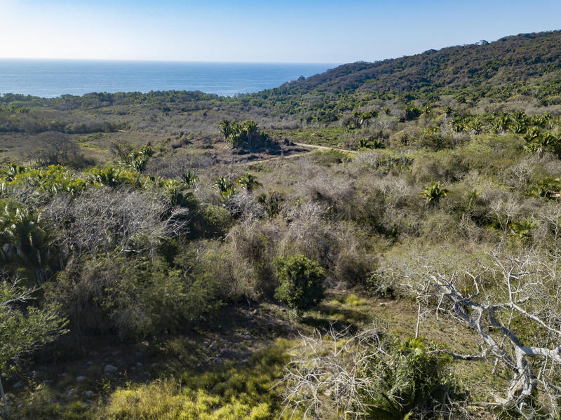 1380 Camino A Imanta Resort, La Joya, Riviera Nayarit, Na