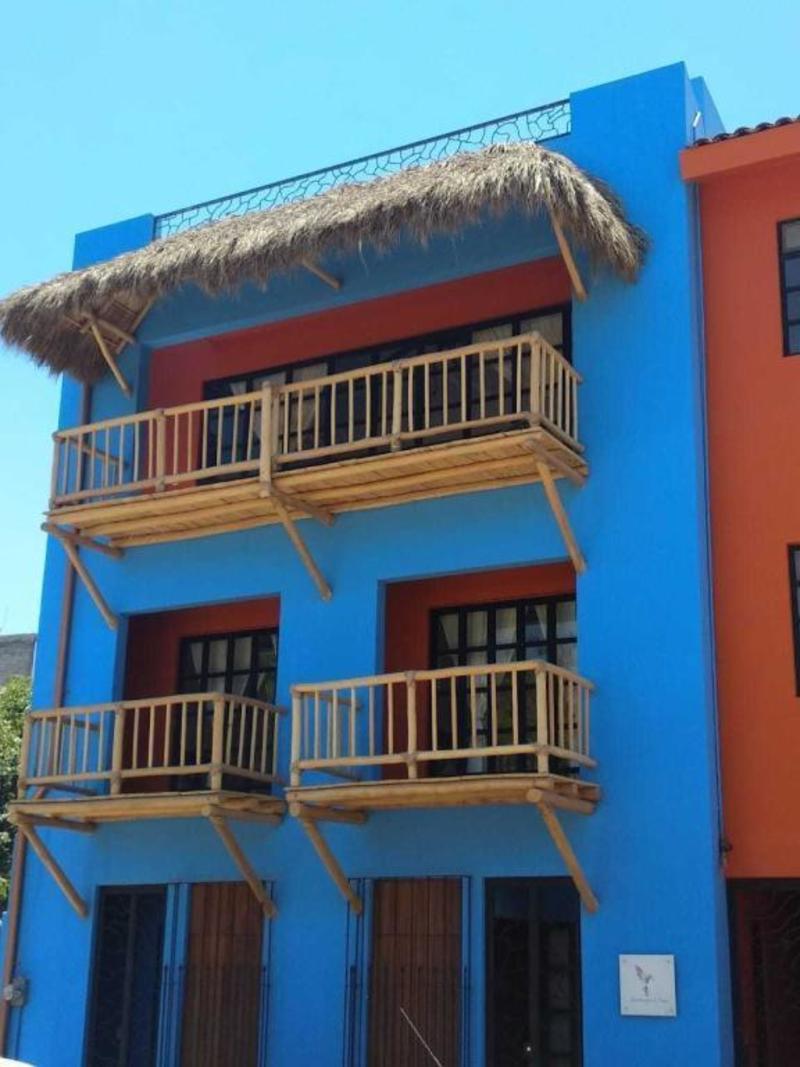 15 Manuel N. Navarrete, Hummingbird House, Riviera Nayarit, Na