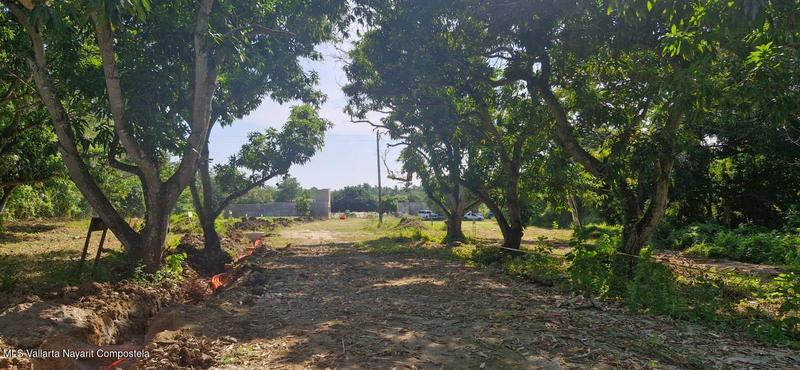 1603 Lt25 Amado Nervo, La Figuera L25, Riviera Nayarit, Na