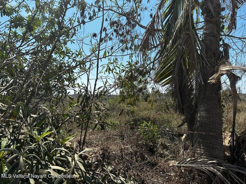 20250807142720054319000000 o