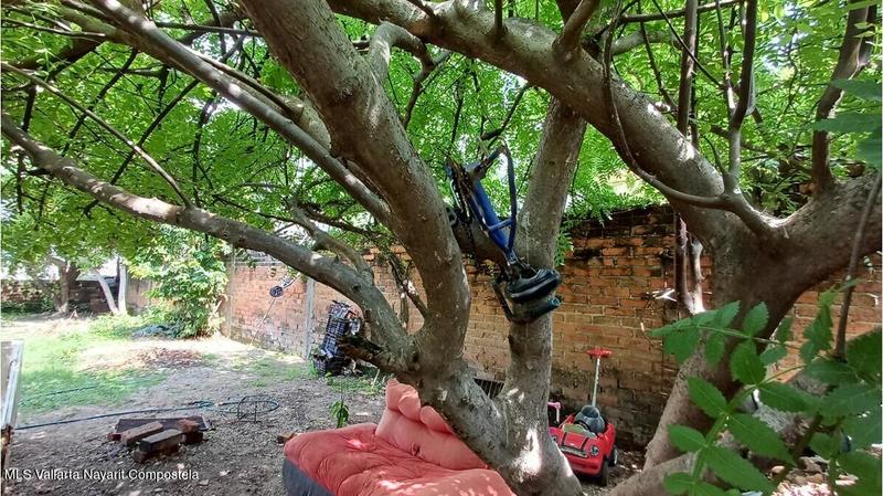 20250819185232568281000000 o