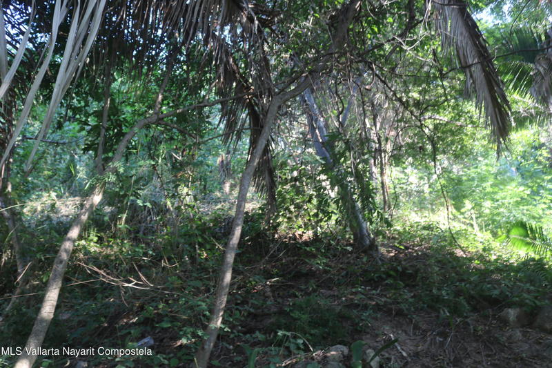 20251226185040304598000000 o