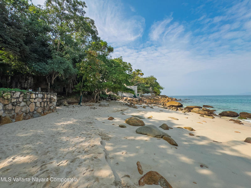 20251203231147884173000000 o