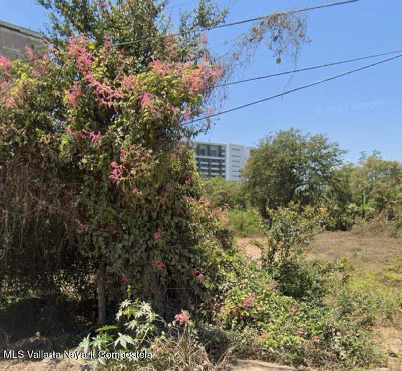 20250701063407139953000000 o