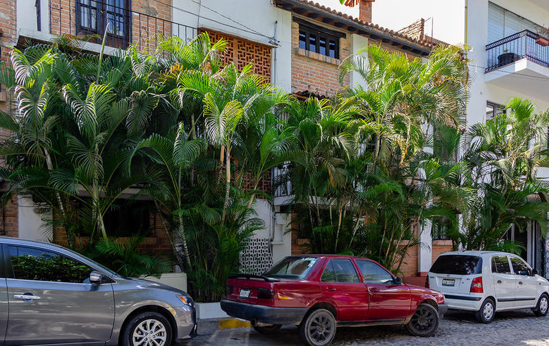370 Pino Suarez, Casa De Los Almendras, Puerto Vallarta, Ja