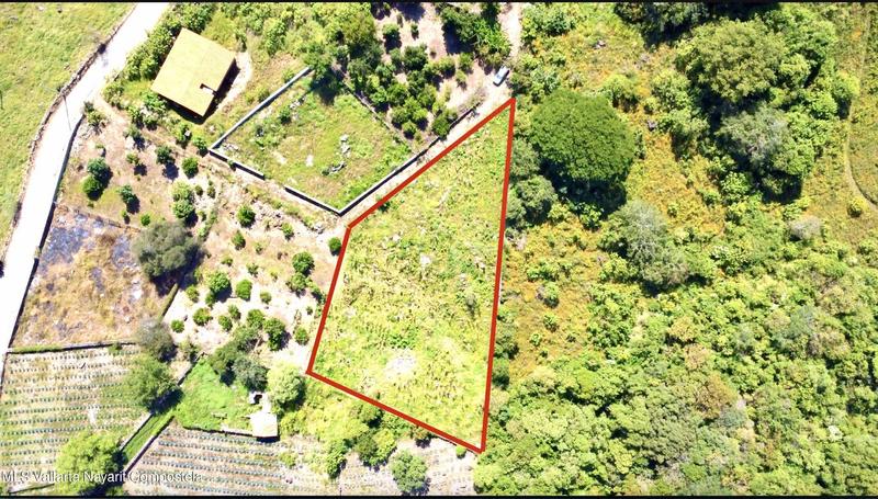 20260130012109402815000000 o