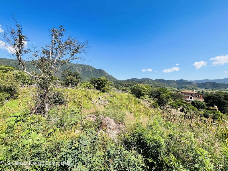 20260130012113999029000000 o