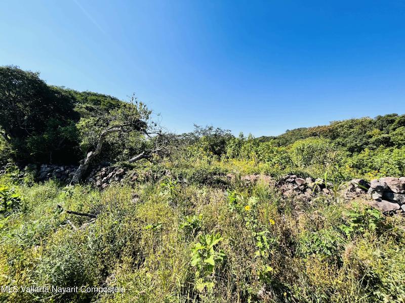 20260130012125570904000000 o