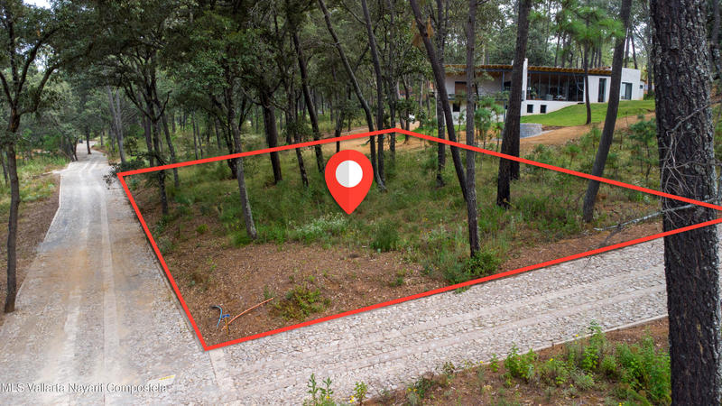 40 1 Predio Rústico La Lechuguilla, Terreno Cardosanto Tapalpa, Other, Ja