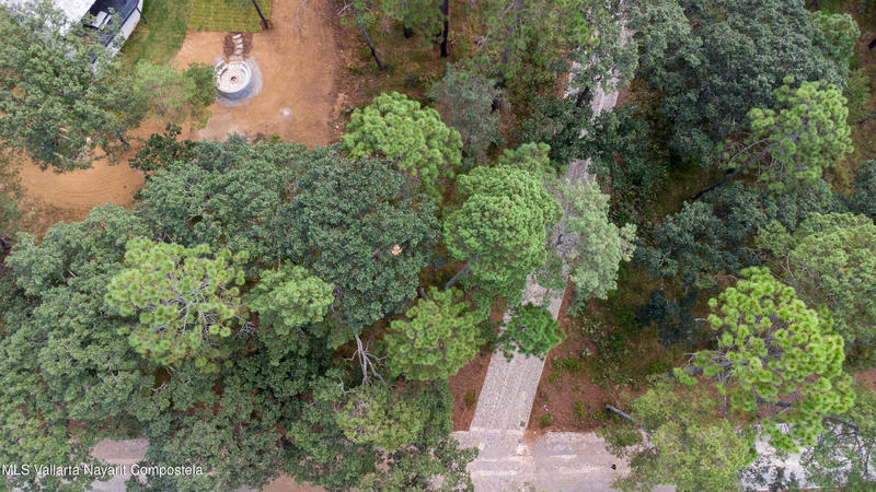 20251215230737678753000000 o