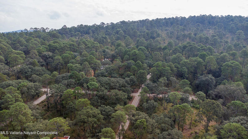 20251215230747255436000000 o