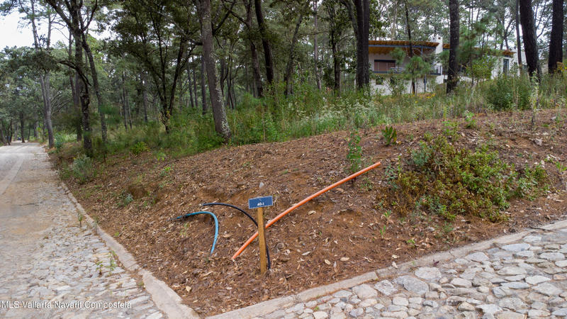 20251215230754928321000000 o