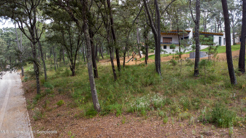 20251215230757465981000000 o