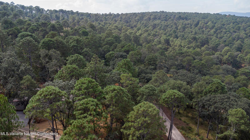 20251215230805868281000000 o